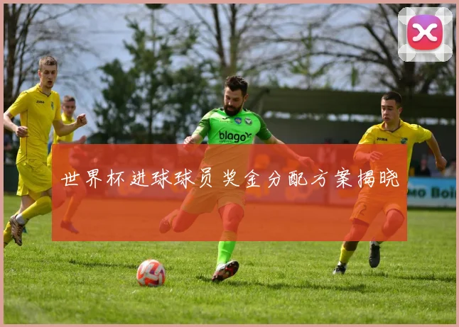 世界杯进球球员奖金分配方案揭晓