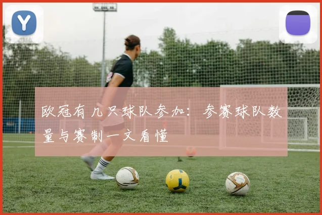 欧冠有几只球队参加:参赛球队数量与赛制一文看懂