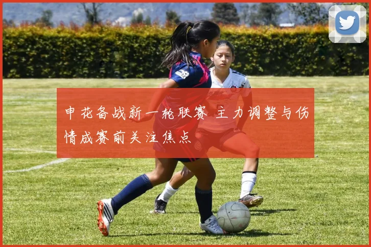 申花备战新一轮联赛 主力调整与伤情成赛前关注焦点