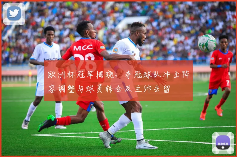 欧洲杯冠军揭晓，夺冠球队冲击阵容调整与球员转会及主帅去留